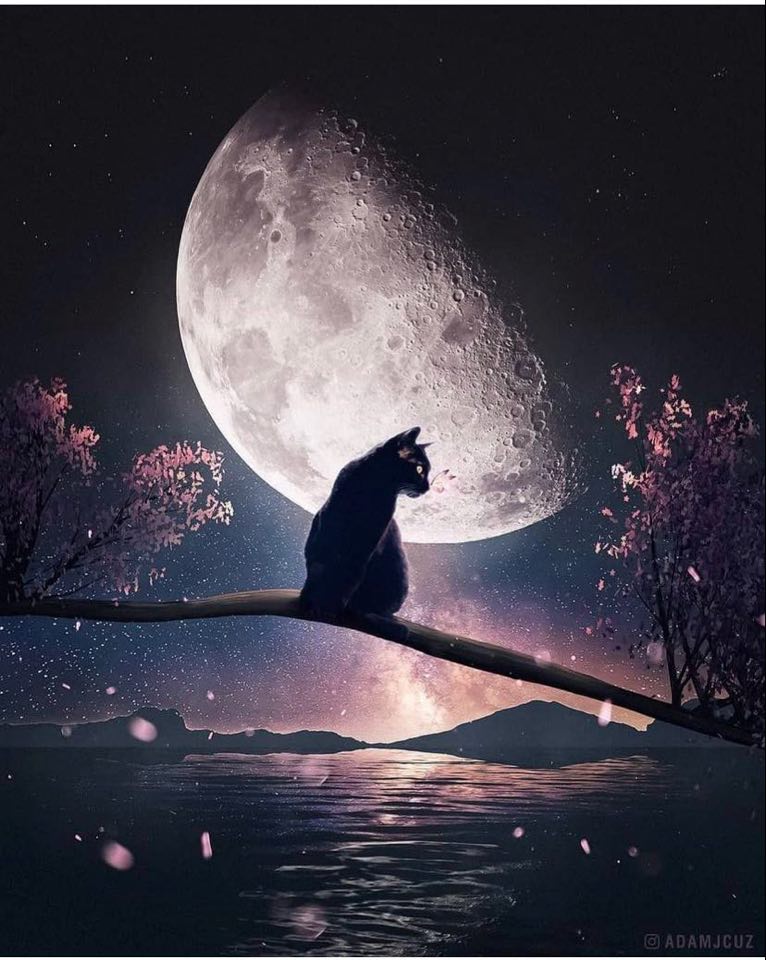 Poveste pe Cer si Marte in Rac