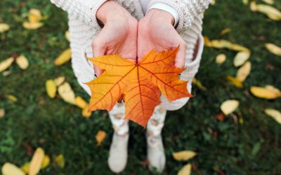 Horoscop luna Septembrie 2022