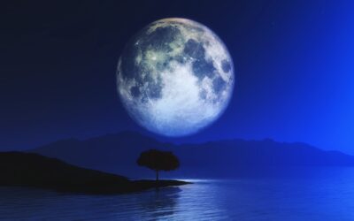 Luna Plina in Rac, tu cum iti hranesti sufletul?