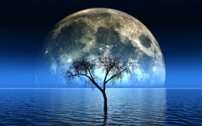 Luna Noua in Pesti