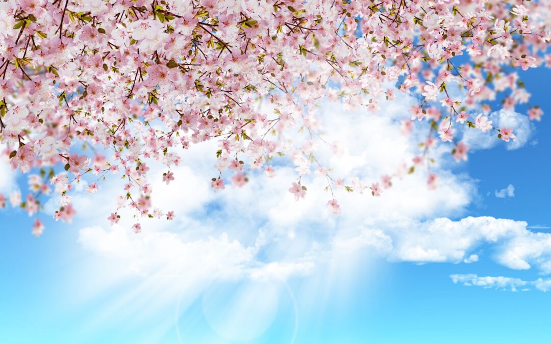Horoscopul lunii Aprilie
