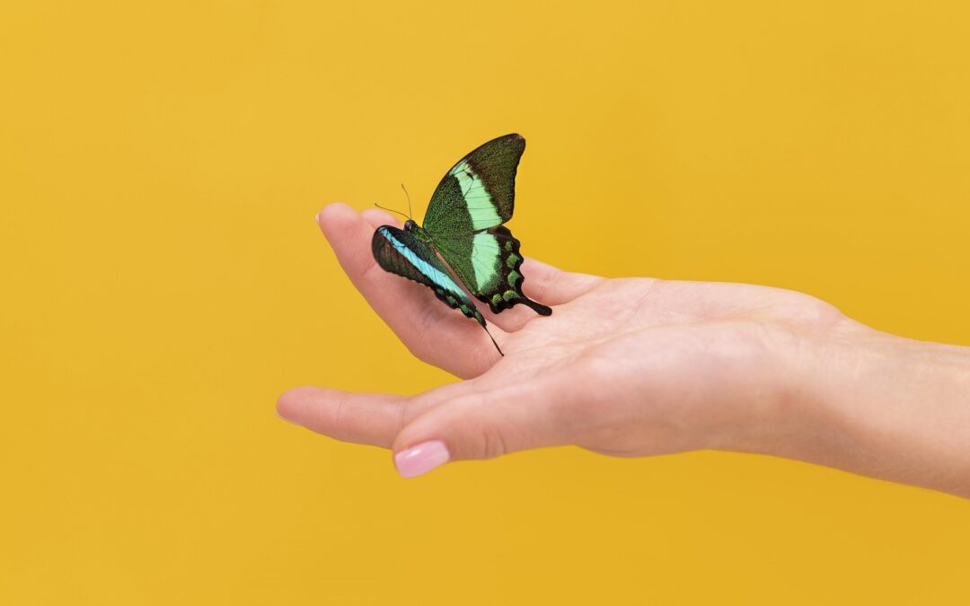 Pluto Retrograd in Varsator