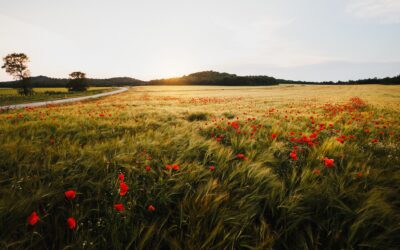 Horoscop Septembrie 2023