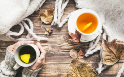 Horoscop Noiembrie 2024